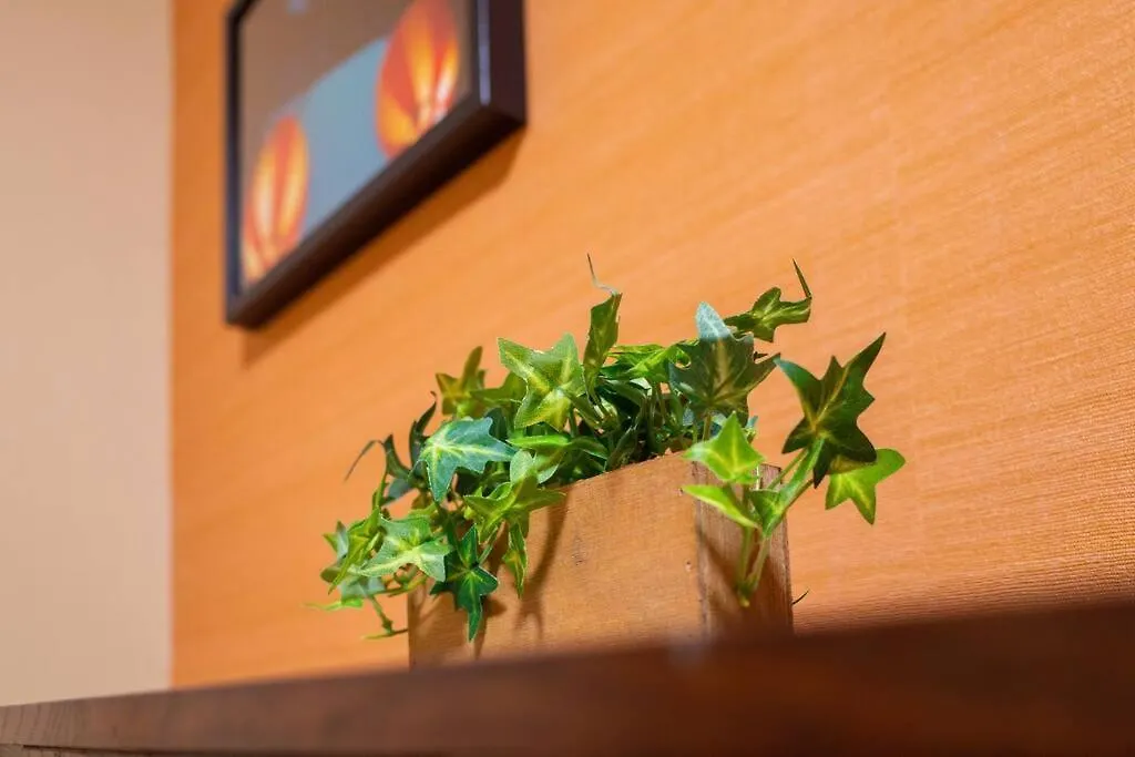 Apartment 1F Facing Skdytree 6Min Stn Direct Nrt&Hnd&Disney Präfektur Tokio
